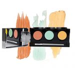 Dermaflage Color Correcting Palette, Color Corrector Concealer for Dark Circles, Redness, Bruises, Dark Spots, by Dermaflage 6.9g/.24oz